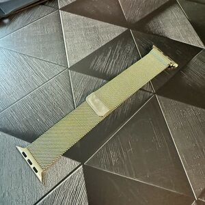 Apple Milanese Loop Titanium Mesh Watch Band